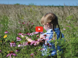 image of young child standing in a pollinator field with flowers and a red video play button